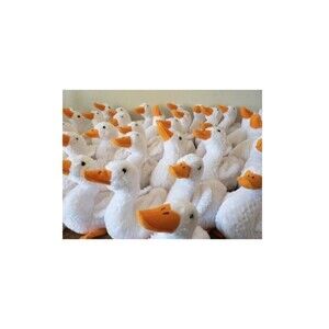 2pcs David Copperfield's Webster Goose